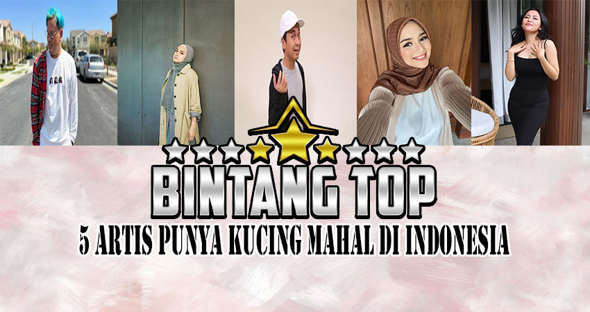 5 Artis Punya Kucing Mahal Di Indonesia